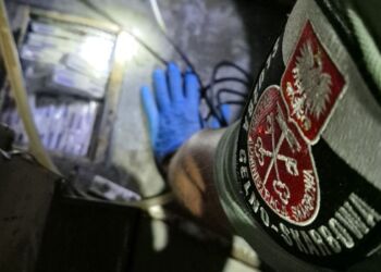 Ponad 15 tys. sztuk papierosów bez akcyzy zatrzymanych na granicy w Korczowej