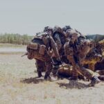 Strzelania sytuacyjne i transmisje z drona. Największe ćwiczenia terytorialsów [ZDJĘCIA] - Polskie Radio Rzeszów