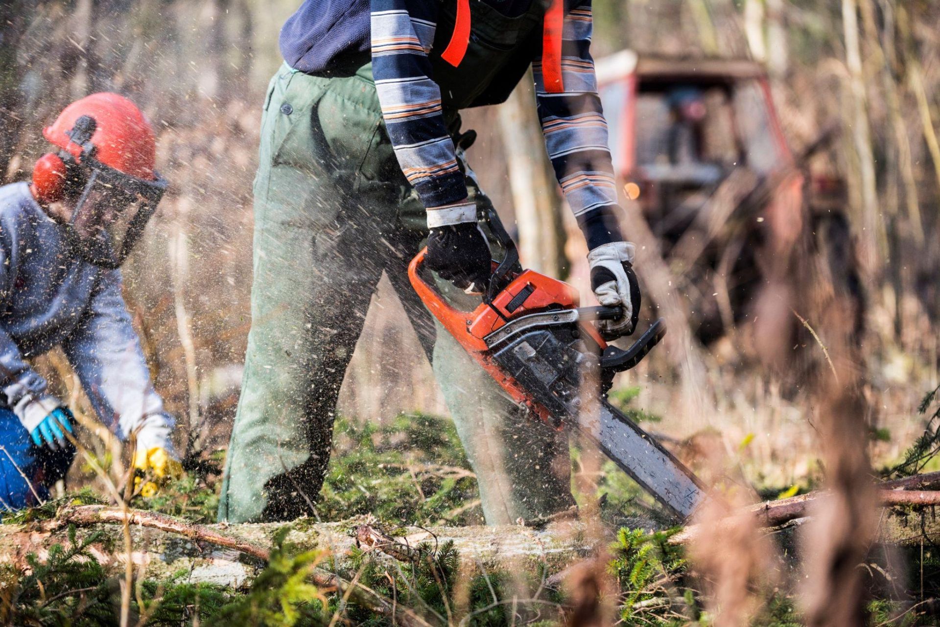 Akcesoria do piły spalinowej – co warto mieć, by praca była efektywna? - Polskie Radio Rzeszów