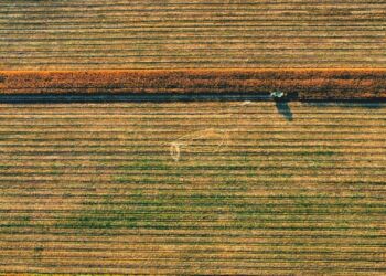 Ponad 1,3 miliarda złotych z PROW 2014–2020 trafiło na inwestycje na Podkarpaciu