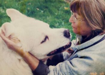 Zwierzomaniak z psami