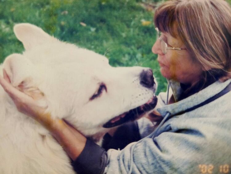 Zwierzomaniak z psami