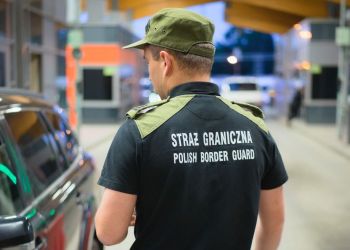 Fala fałszywych dowodów rejestracyjnych na granicy z Ukrainą
