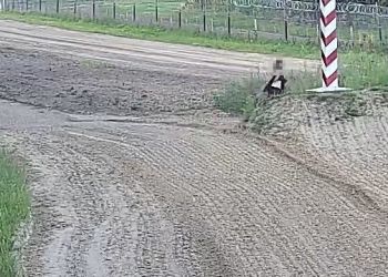 Francuz kazał dzieciom ustawić się do zdjęcia na pasie granicznym. Zapłacił 500 zł mandatu