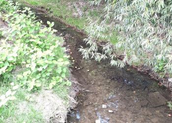 Zanieczyszczenie potoku Młynówka, prace strażaków i postępowanie policji [AKTUALIZACJA]