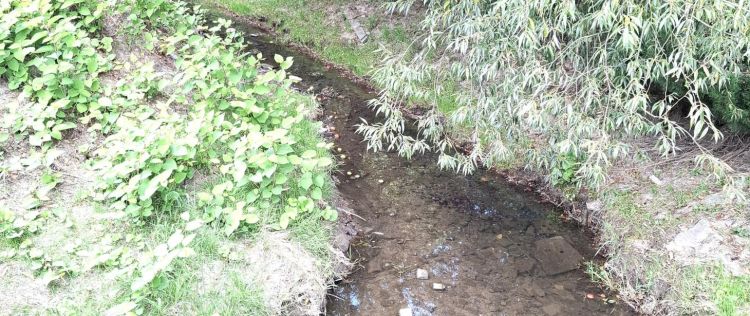 Zanieczyszczenie potoku Młynówka, prace strażaków i postępowanie policji [AKTUALIZACJA]