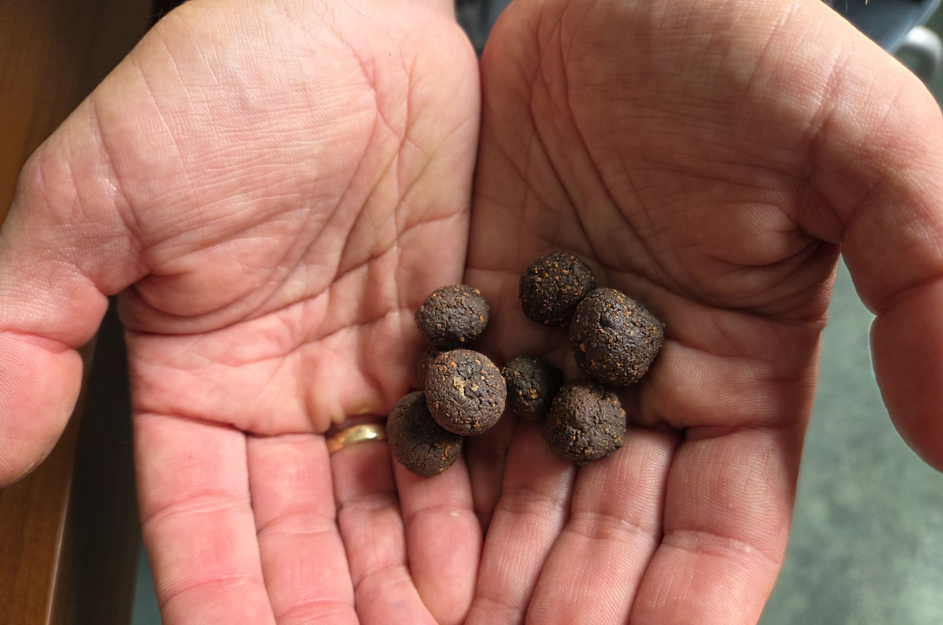 Naukowcy z Politechniki Rzeszowskiej opracowali ekologiczny wynalazek. Łączy osady ściekowe wełnę mineralną i fusy z kawy