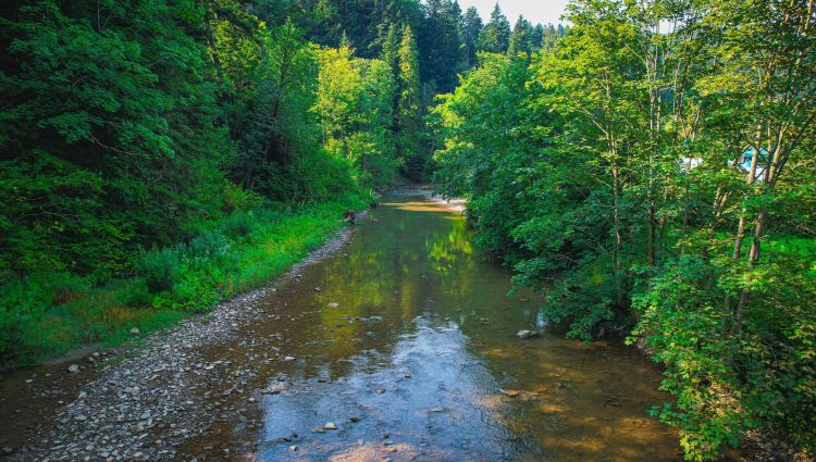 Prawie połowę terenu Podkarpacia zajmują obszary chronione