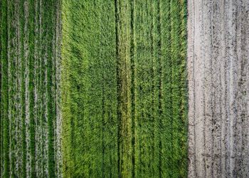 Wyjdźmy w pole podziękować za czas urodzaju