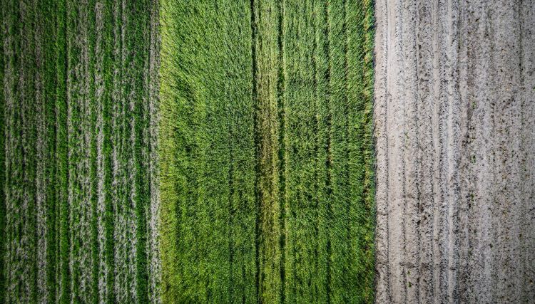 Wyjdźmy w pole podziękować za czas urodzaju