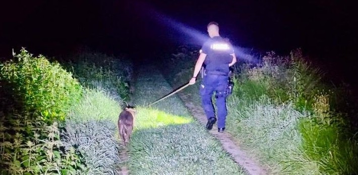 Ukradli suczkę, bo miała być zaniedbana. Teraz grozi im 5 lat więzienia 7 - Polskie Radio Rzeszów Ukradli suczkę, bo miała być zaniedbana. Teraz grozi im 5 lat więzienia