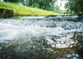 Mineralna, źródlana, stołowa. Jak wybrać dobrą wodę do picia?