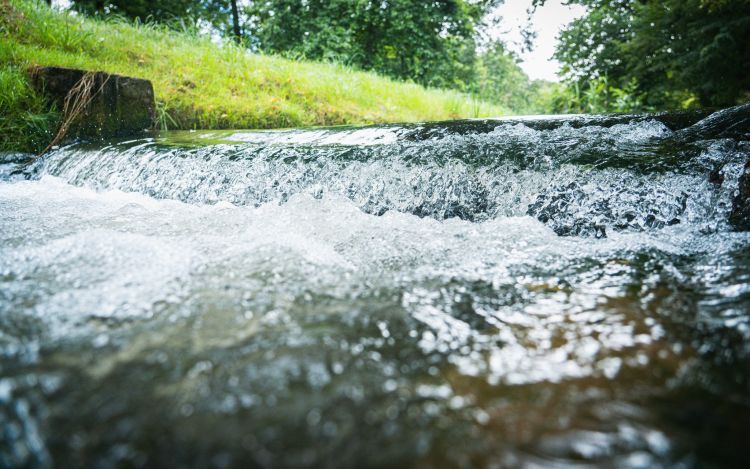Mineralna, źródlana, stołowa. Jak wybrać dobrą wodę do picia?