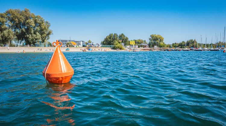 Nowe kąpielisko w Głogowie Małopolskim – strefa dla dzieci, kino plenerowe i atrakcje dla mieszkańców