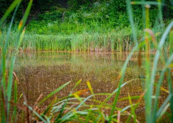 Nad wodą – jeziora i zalewy