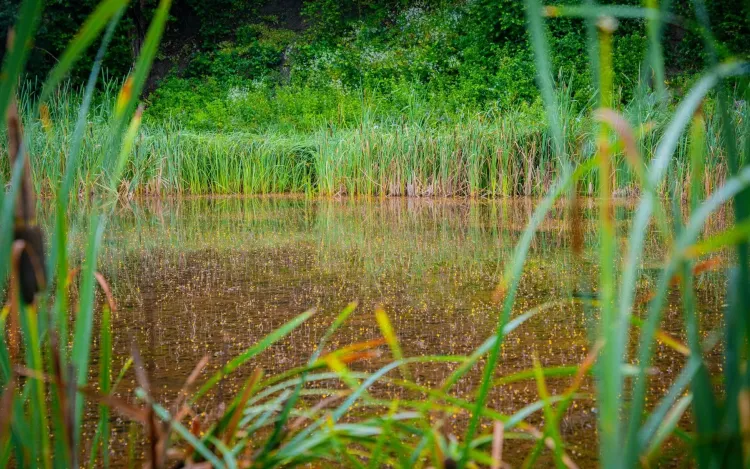 Nad wodą – jeziora i zalewy