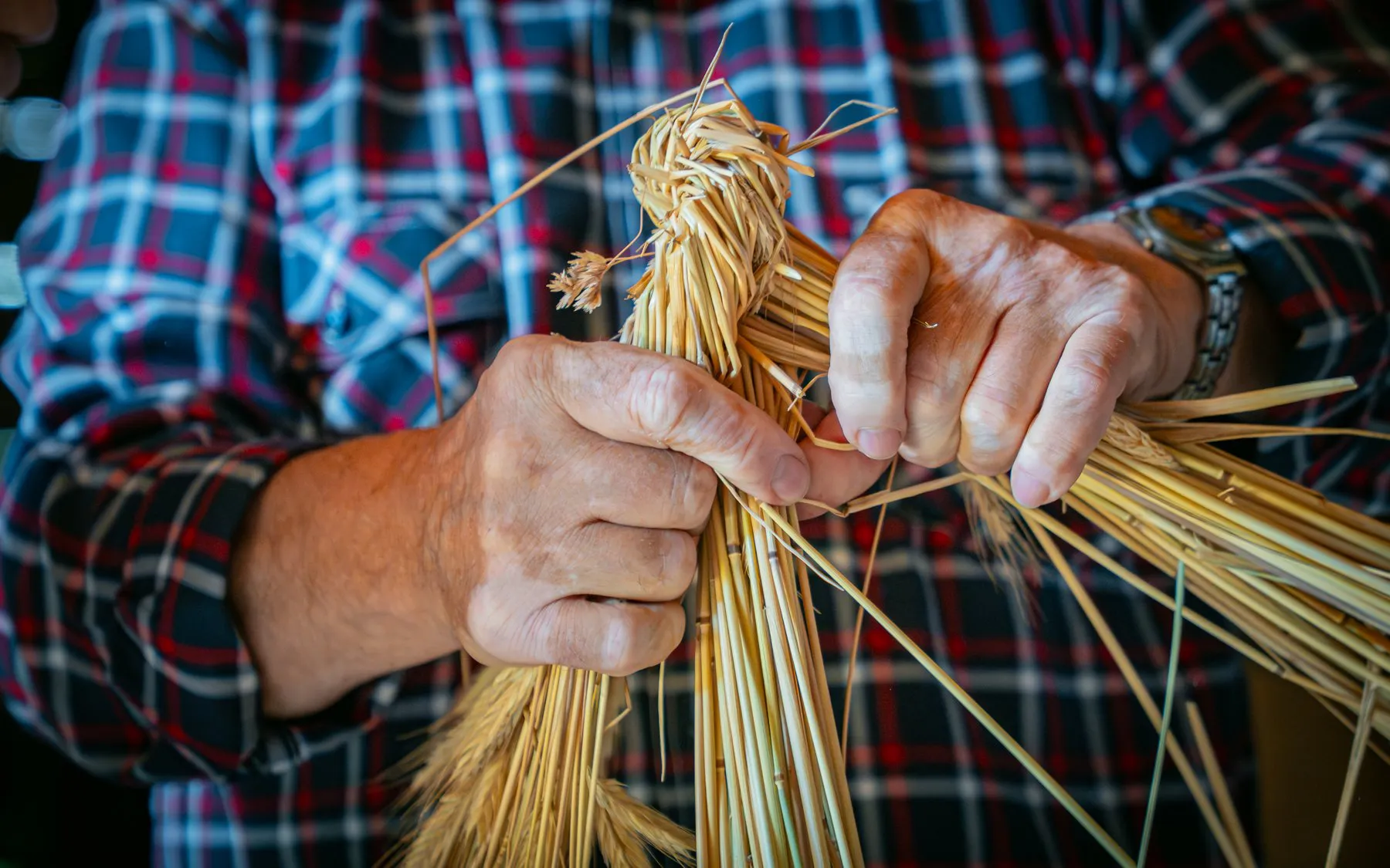 Podkarpaccy rolnicy podsumują tegoroczne żniwa na święcie plonów