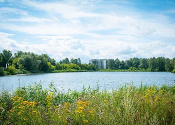 Kąpieliska w regionie, pomysł na relaks w upalny dzień