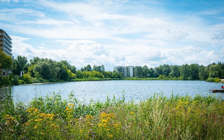 Kąpieliska w regionie, pomysł na relaks w upalny dzień