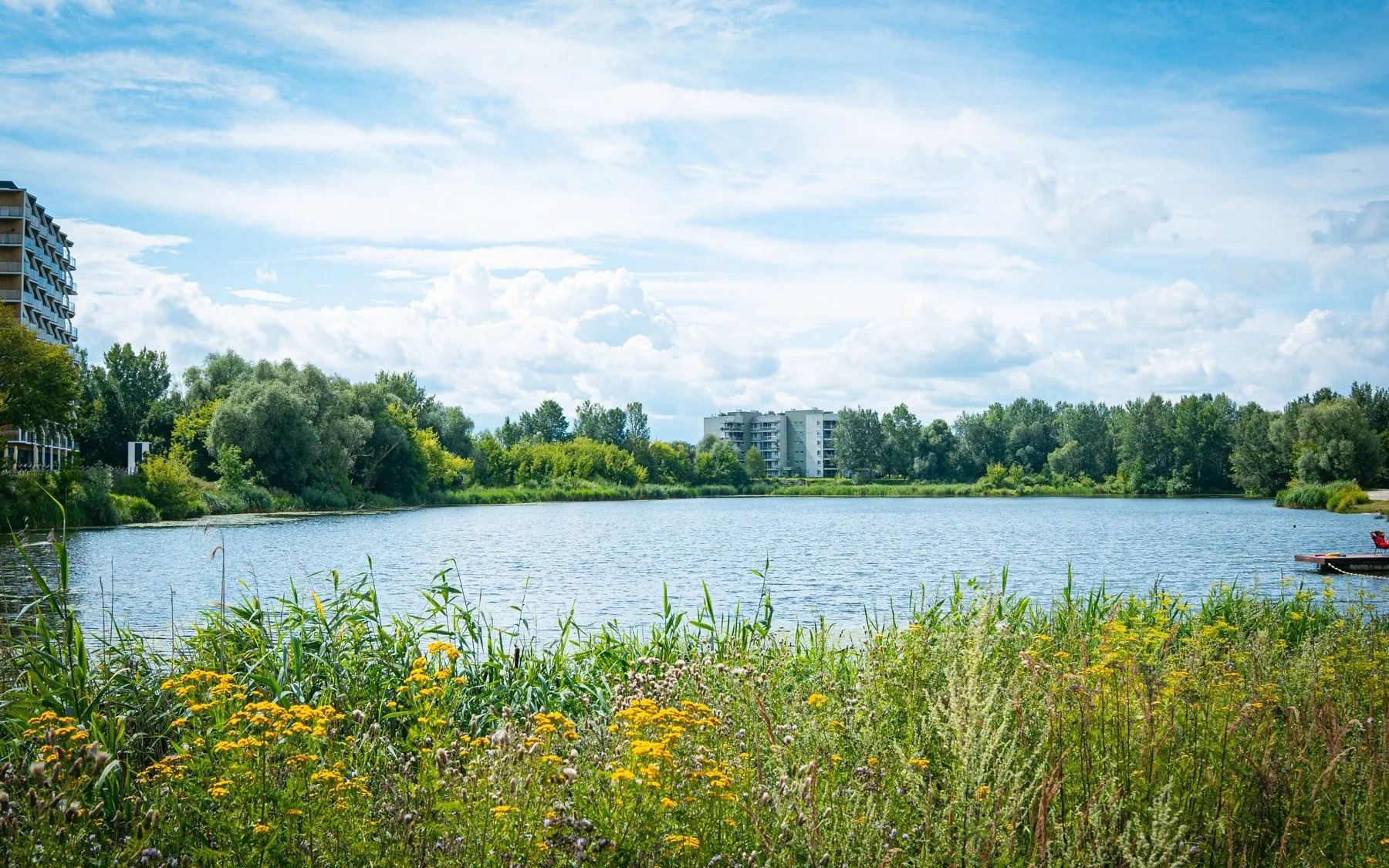 Kąpieliska w regionie, pomysł na relaks w upalny dzień 8 - Polskie Radio Rzeszów Kąpieliska w regionie, pomysł na relaks w upalny dzień