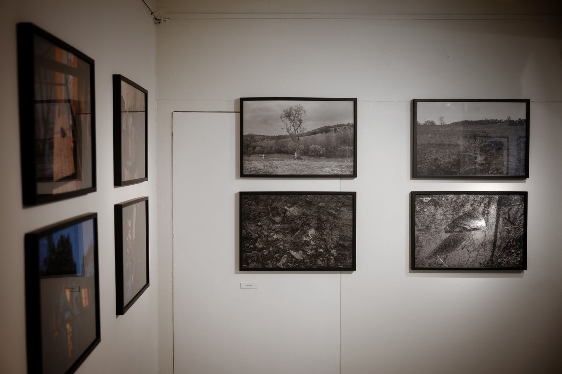 „Podkarpacka Ikonosfera” w Stalowej Woli – otwarto wystawę pokonkursową