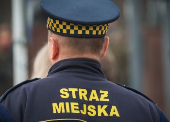 Strażnicy miejscy w Rzeszowie zostaną wyposażeni w paralizatory i kamery