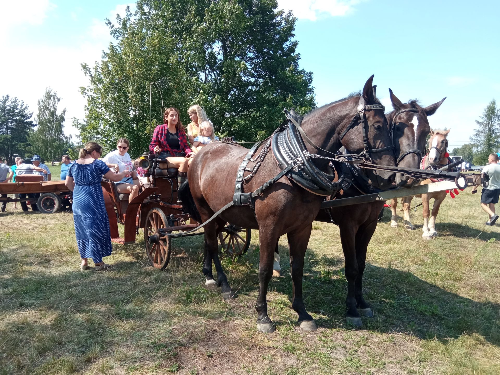 20 zaprzęgów i około 60 koni na Zlocie Furmanek w Furmanach [ZDJĘCIA]