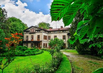 Rusza cykl „Oranżeria pełna kultury” w Przeworsku