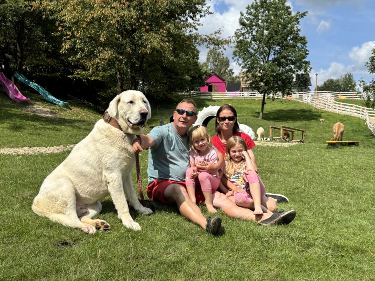 Alpaki, kucyki i króliczki: wyjątkowe mini-zoo w Jaworniku Polskim