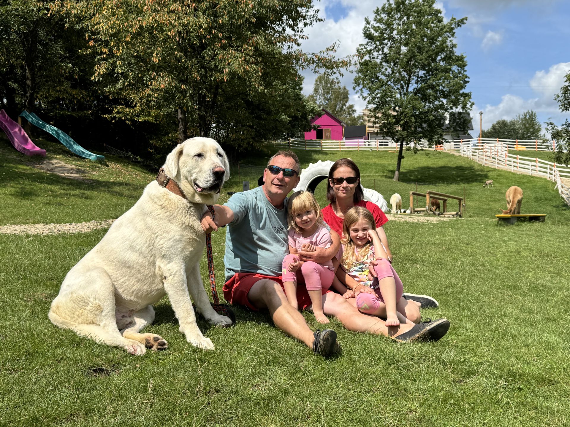 Alpaki, kucyki i króliczki: wyjątkowe mini-zoo w Jaworniku Polskim 7 - Polskie Radio Rzeszów Alpaki, kucyki i króliczki: wyjątkowe mini-zoo w Jaworniku Polskim