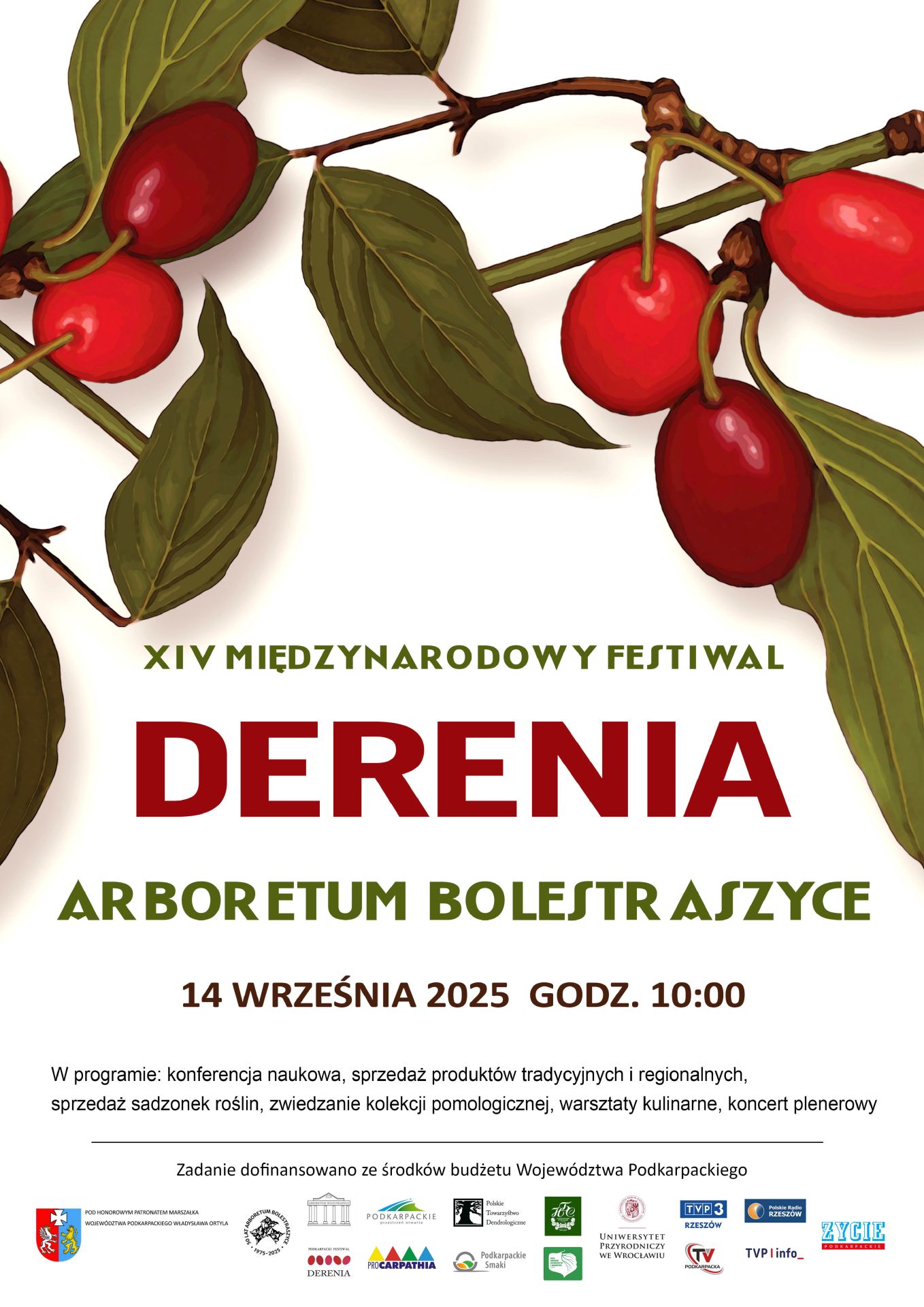XIV Międzynarodowy Festiwal Derenia w Bolestraszycach - Polskie Radio Rzeszów