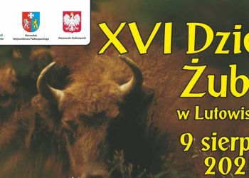 Dzień Żubra w Lutowiskach – święto ludzi lasu i bieszczadzkiej przyrody