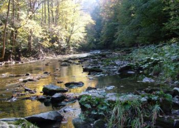 Wstęgi życia – górskie potoki