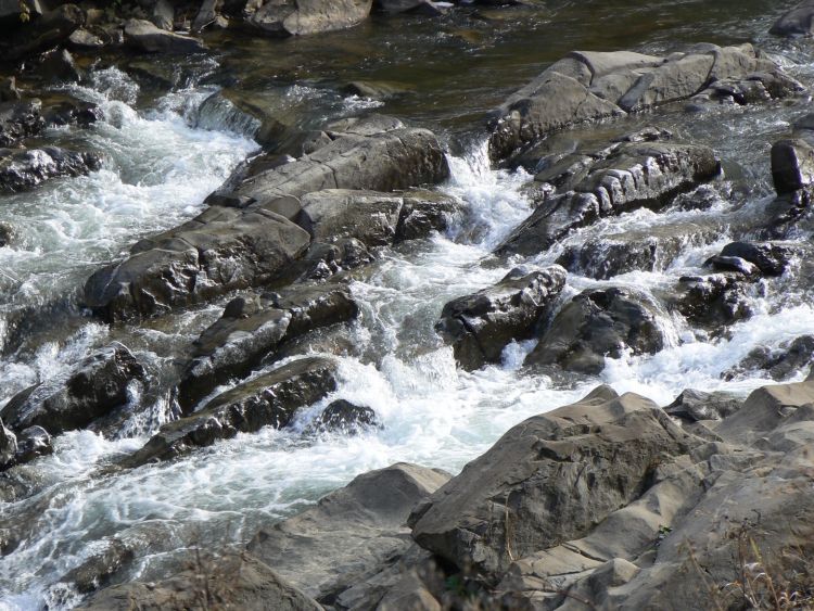 Milczą od milionów lat – flisz karpacki i inne skały