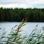 Nowa strefa rekreacji w gminie Trzebownisko. Jest przetarg - Polskie Radio Rzeszów