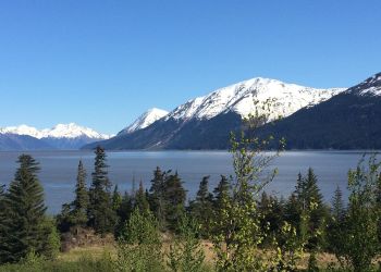 Biały Dom o spotkaniu na Alasce: Będzie wspólna konferencja prasowa Trump-Putin [AKTUALIZACJA]