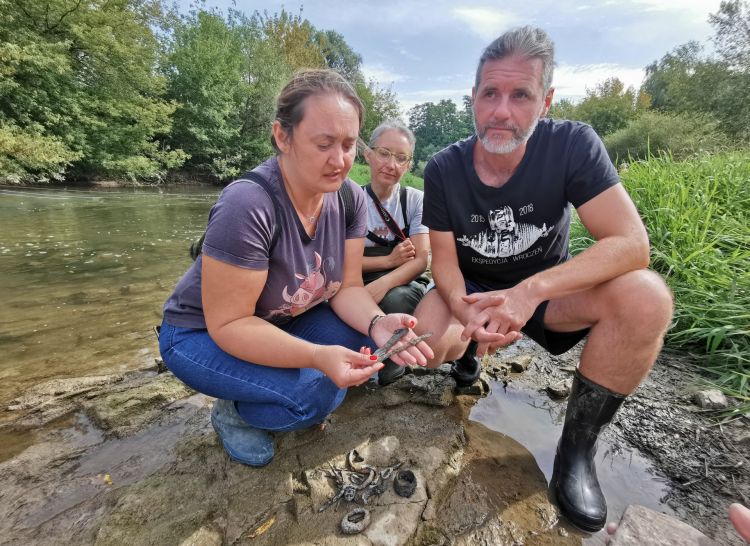 Sensacyjne odkrycie w Siedliskach. Średniowieczne topory, kordy i miecze 1 - Polskie Radio Rzeszów Sensacyjne odkrycie w Siedliskach. Średniowieczne topory, kordy i miecze