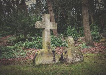 Poszukiwania szczątków polskich żołnierzy w Zboiskach we Lwowie