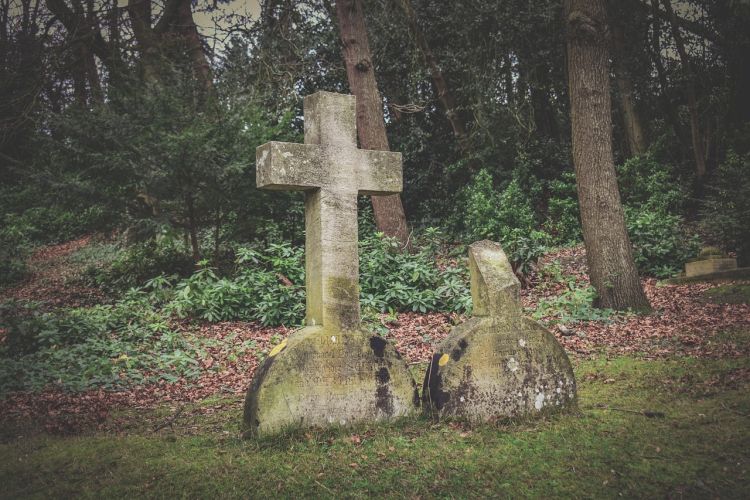 Poszukiwania szczątków polskich żołnierzy w Zboiskach we Lwowie