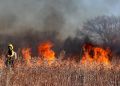 31 zastępów straży pożarnej walczy z&nbsp;pożarem na&nbsp;poligonie Lipa – spłonęło 25 hektarów lasu [AKTUALIZACJA]