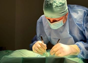 Choroby zębów u młodych kotów i pasożyty serca u psów. Sezonowość w weterynarii