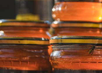 Miód spadziowy i fasola wrzawska. Dlaczego są wyjątkowymi produktami?