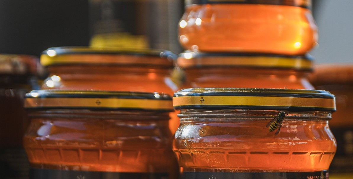 Miód spadziowy i fasola wrzawska. Dlaczego są wyjątkowymi produktami? 6 - Polskie Radio Rzeszów Miód spadziowy i fasola wrzawska. Dlaczego są wyjątkowymi produktami?