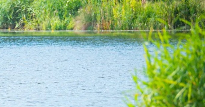 Lubaczówka jedną z najczystszych rzek w Polsce według GIOŚ