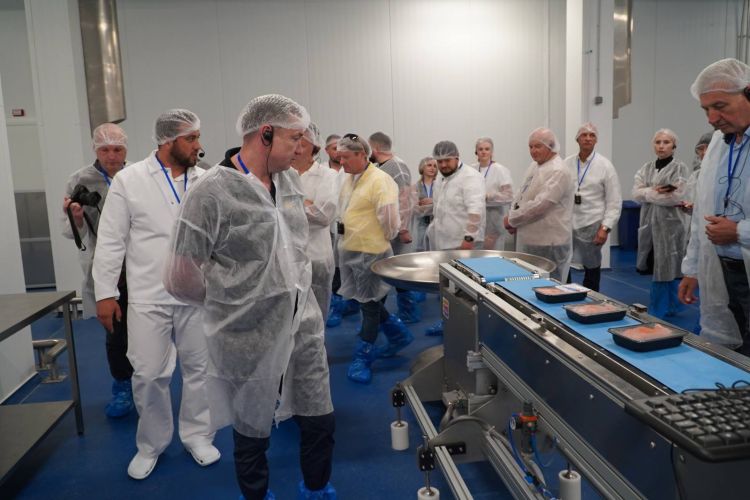 Nowy zakład przetwórstwa ryb otwarto w obwodzie lwowskim – 300 miejsc pracy i plany eksportu do UE