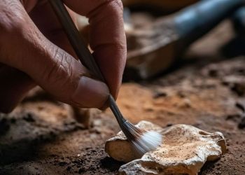 Unikatowy zabytek sprzed 2,5 tys. lat odkryty pod Jarosławiem 4 - Polskie Radio Rzeszów Pozostałości nieznanej budowli odkryto na terenie Muzeum Pałacu Króla Jana III w Wilanowie