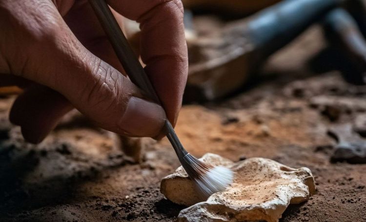 Pozostałości nieznanej budowli odkryto na&nbsp;terenie Muzeum Pałacu Króla Jana III w&nbsp;Wilanowie