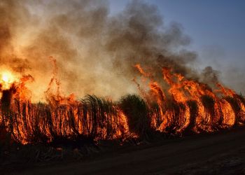 Podkarpacie: Blisko 950 pożarów od początku roku. 10 ofiar śmiertelnych i ponad 50 rannych