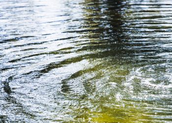 Tragiczne utonięcie w Zbydniowie: nie żyje 68-letni mężczyzna