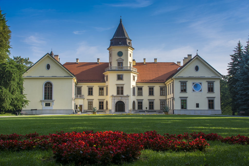 Do parku przy rezydencji Tarnowskich powrócą rośliny z okresu świetności zamku 7 - Polskie Radio Rzeszów Do parku przy rezydencji Tarnowskich powrócą rośliny z okresu świetności zamku